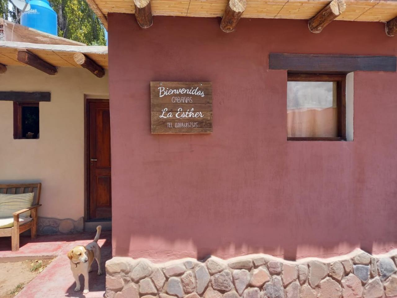 Cabanas La Esther Тилькара Экстерьер фото